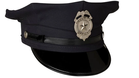 8 Point Hat_864_486.png